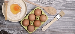 Oeufs : infos et conseils