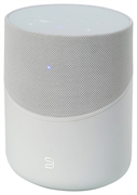 BLUESOUND PULSE M BLUESOUND PULSE M