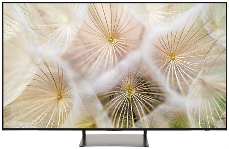 SAMSUNG QE55S90C