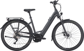 PEGASUS PREMIO EVO 10 LITE 800WH