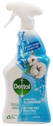 DETTOL NETTOIE-TOUT ANTIBACTÉRIEN FRAÎCHEUR DE LIN